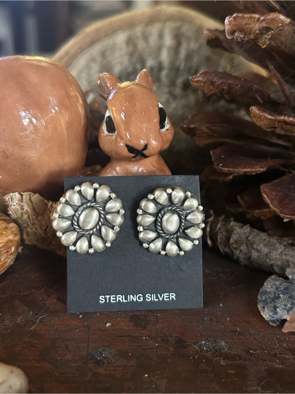 925 Sterling Everyday Elegance earrings